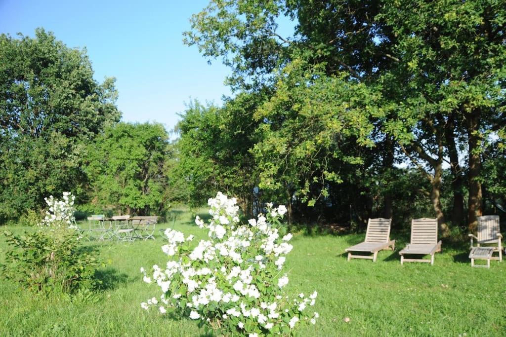 Romantisches Studio Am Waldesrand Mit Gartensauna Schwarz 외부 사진