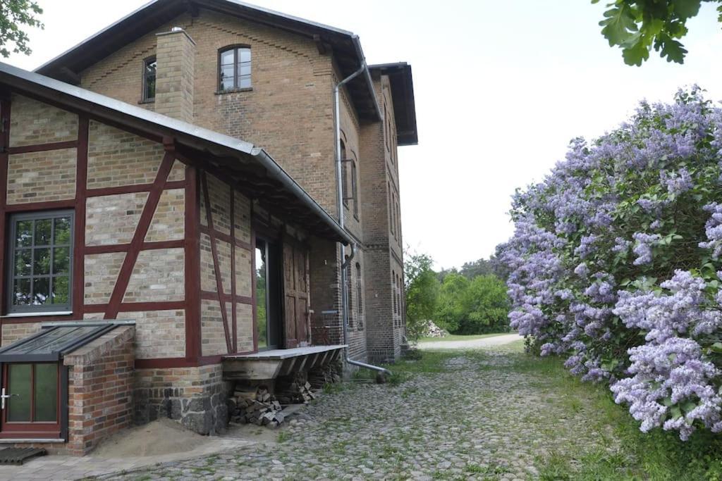 Romantisches Studio Am Waldesrand Mit Gartensauna Schwarz 외부 사진
