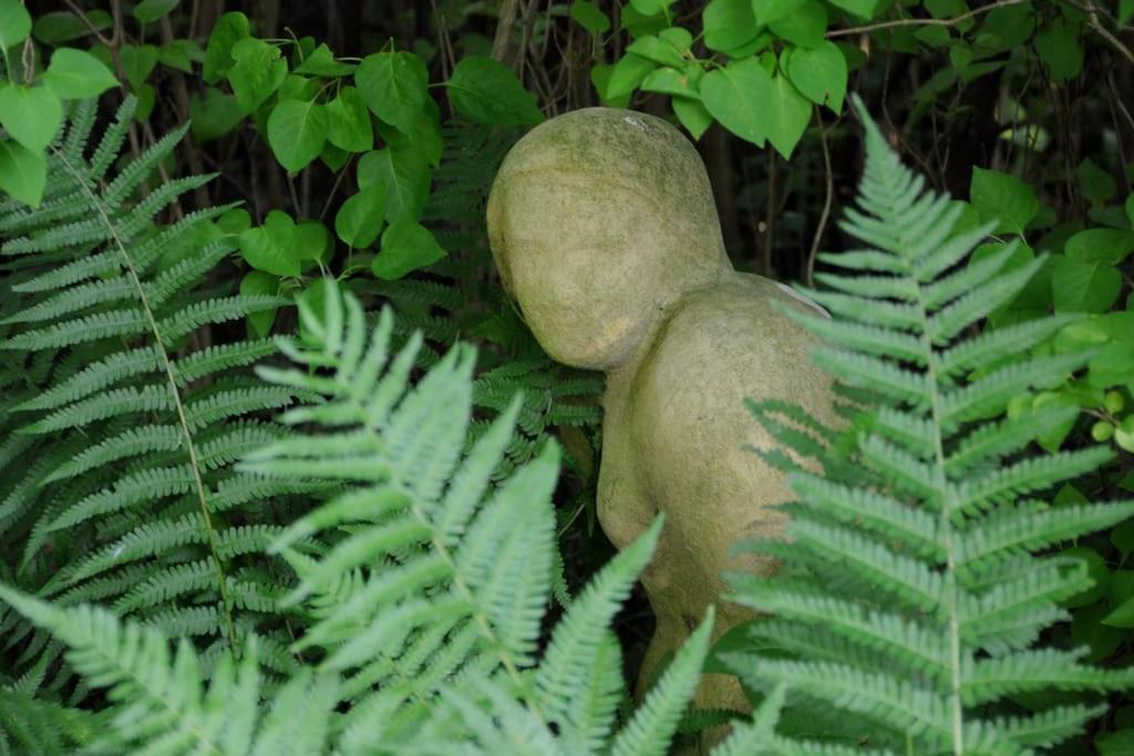 Romantisches Studio Am Waldesrand Mit Gartensauna Schwarz 외부 사진